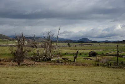 DSC_1010 (Large).JPG